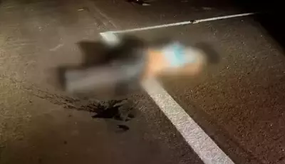 Mulher morre após ser atropelada na BR-463; motorista foge
