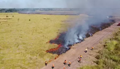 Mato Grosso do Sul prepara rede de saúde para cenários de El Niño