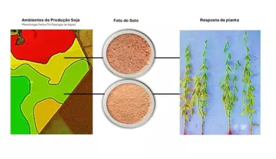 Tecnologia que "lê" o solo transforma manejo agrícola e comprova ganhos de produtividade