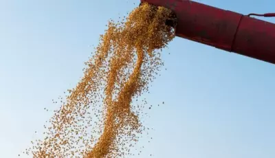 Exportações de Mato Grosso do Sul chegam a US$ 7,2 bilhões até julho