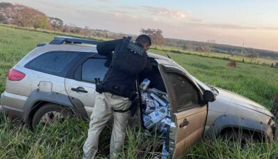 Operação contra o crime organizado apreende dezenas de veículos e prende 16 pessoas