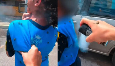 Criança é atacada por abelhas e motociclista leva mais de 40 picadas ao tentar salvá-la