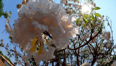 Primavera terá tempestades severas e risco de onda de calor em MS