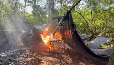 Três acampamentos são queimados com 1,8 tonelada de maconha