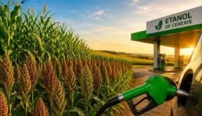 Expansão do etanol de cereais abre fronteiras para milho e sorgo no Brasil
