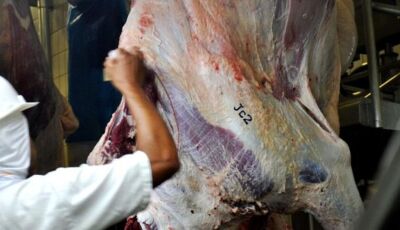 Procurando emprego no interior? Frigorífico tem 40 vagas abertas em Nova Andradina