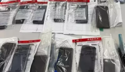 Com 17 celulares furtados por dia em MS, veja o que fazer para proteger dados