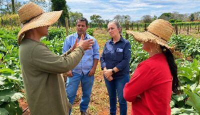 Agraer orienta agricultores de Jaraguari a produzir mais e vender direto ao consumidor