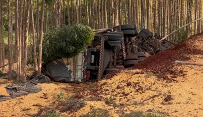 Motorista morre preso às ferragens após carreta com milho tombar em rodovia de MS