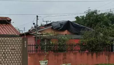 Temporal destelha 25 casas, derruba 20 árvores e afeta estradas em cidade do MS (video)