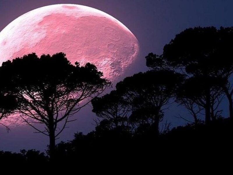 Olhe para o céu fenômeno da Lua Rosa acontece na noite desta segunda Fátima News