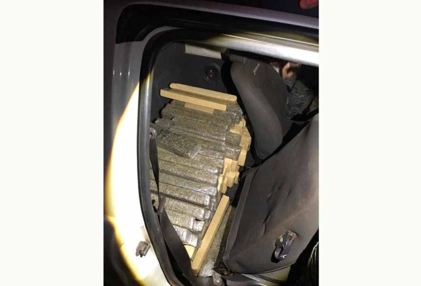 Força Tática apreendeu 166 kg de maconha em Deodápolis-MS