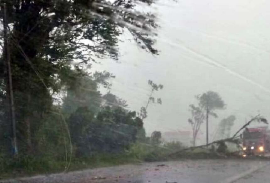Diario da Jaragua Vento e chuva forte causaram estragos em Jaraguá do Sul e região