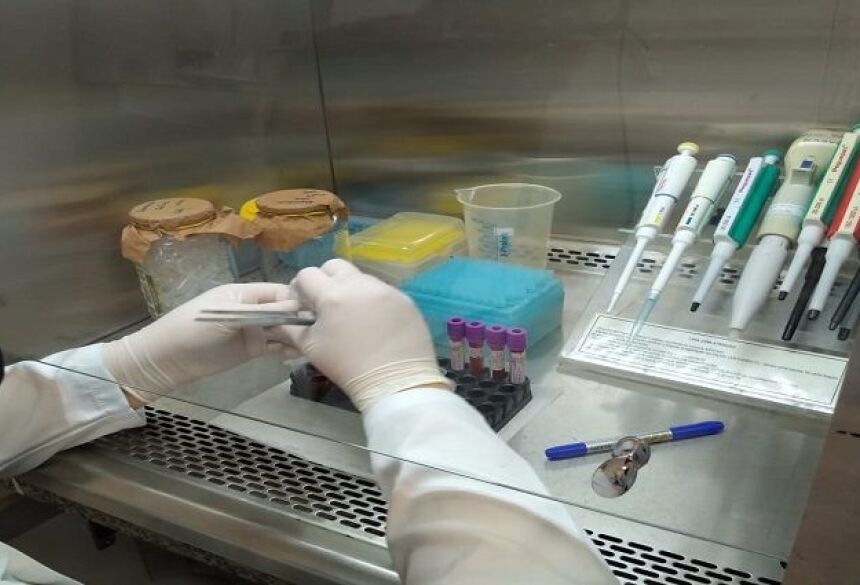 Projetos foram selecionados em edital lançado pela Fundect e serão desenvolvidos neste primeiro semestre