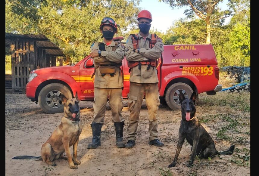 Condutor e cão, sargento Thiago Kalunga e a cadela Laika, da raça pastor holandês, e o cabo Medeiros, condutor da Mali, pastor belga malinois (Divulgação/ Corpo de Bombeiros)