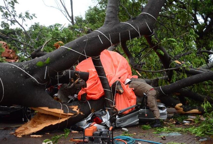 Árvore cai encima de motociclista, que está em estado grave na Santa Casa - Foto: Álvaro Rezende