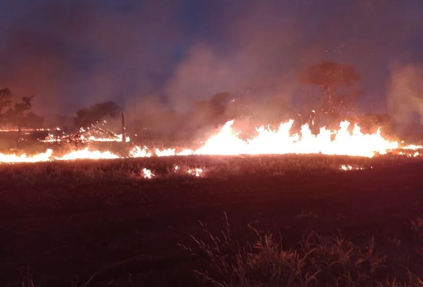 Fogo destruiu 200 hectares de fazendas em MS.  Foto: Corpo de Bombeiros/Reprodução