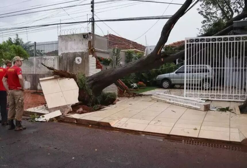 Portão de residência ficou destruído com queda de árvore. (Foto: Osmar Daniel) - CREDITO: CAMPO GRANDE NEWS