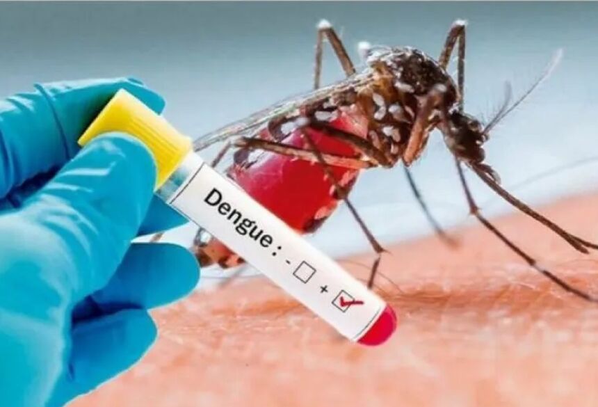 Teste de dengue  Foto: Divulgação