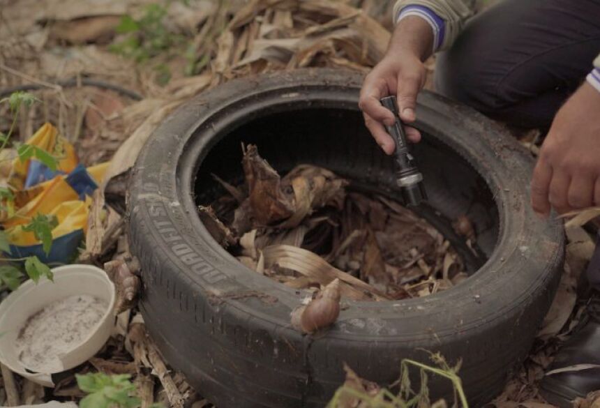 DENGUE - Foto: Divulgação