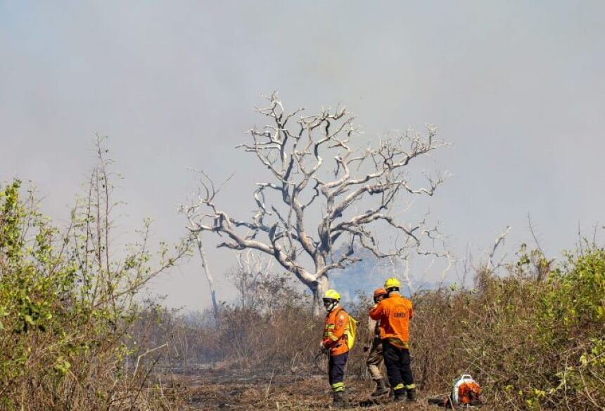 Fotos: Álvaro Rezende