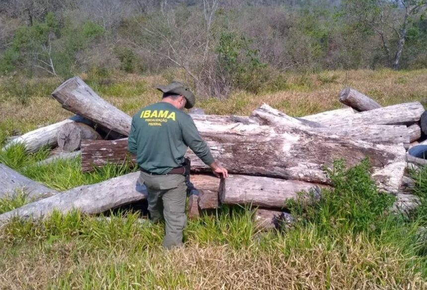 Servidor do Ibama em operação contra desmatamento. 