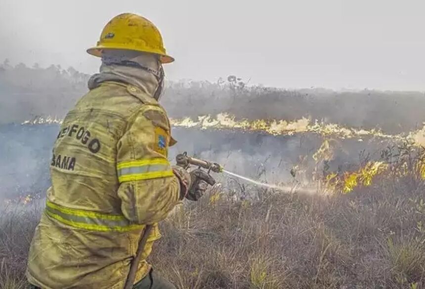 União, Estado e voluntários mantêm equipes no Pantanal para combater incêndios (Foto: Mayangdi Inzaulgarat/Ibama)