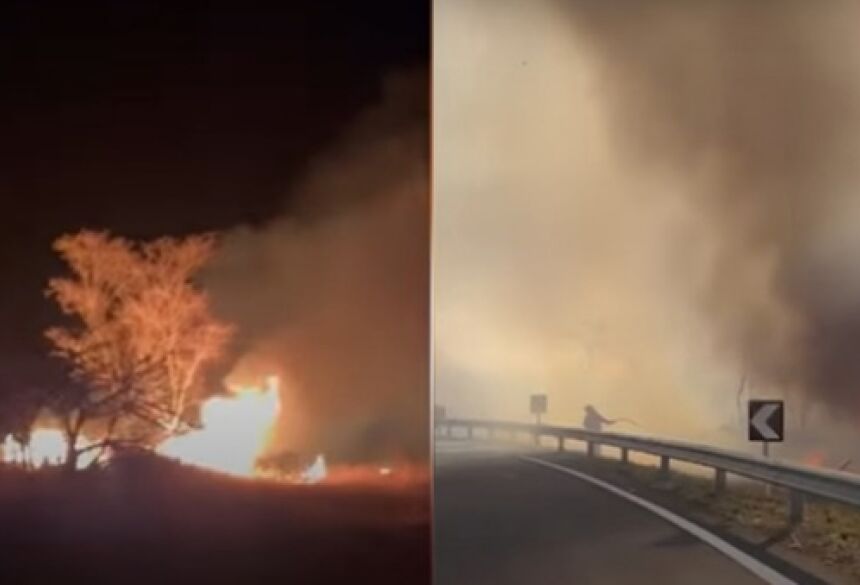 O incêndio ja consumiu mais de 40 km de vegetação (Imagem: Divulgação)