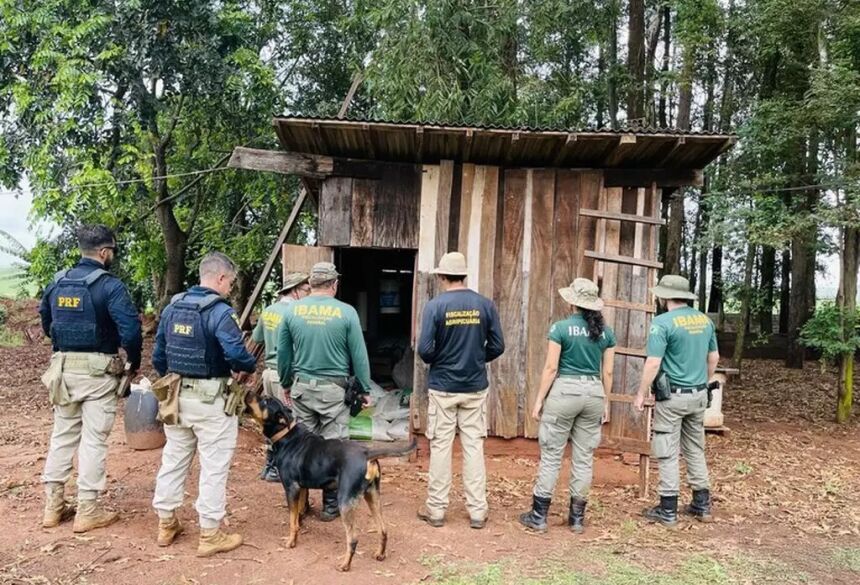 Agentes do Ibama e da PRF durante fiscalização (Foto: Divulgação)