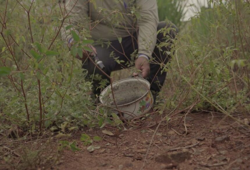 DENGUE - Danúbia Burema , Comunicação SES