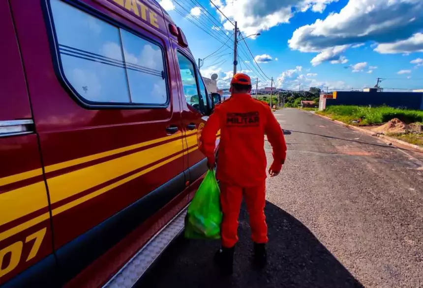 Entrega da cesta básica (Divulgação, Corpo de Bombeiros)