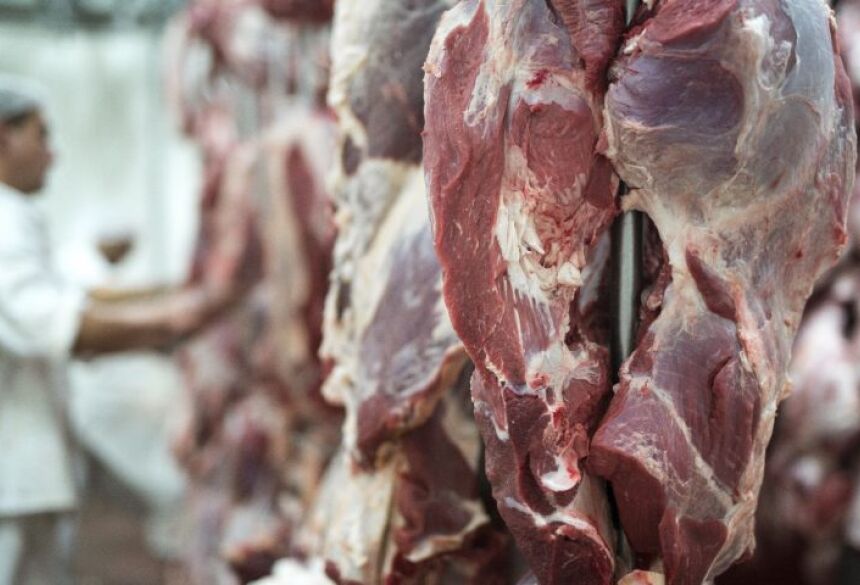 CARNE - Foto de capa: Arquivo