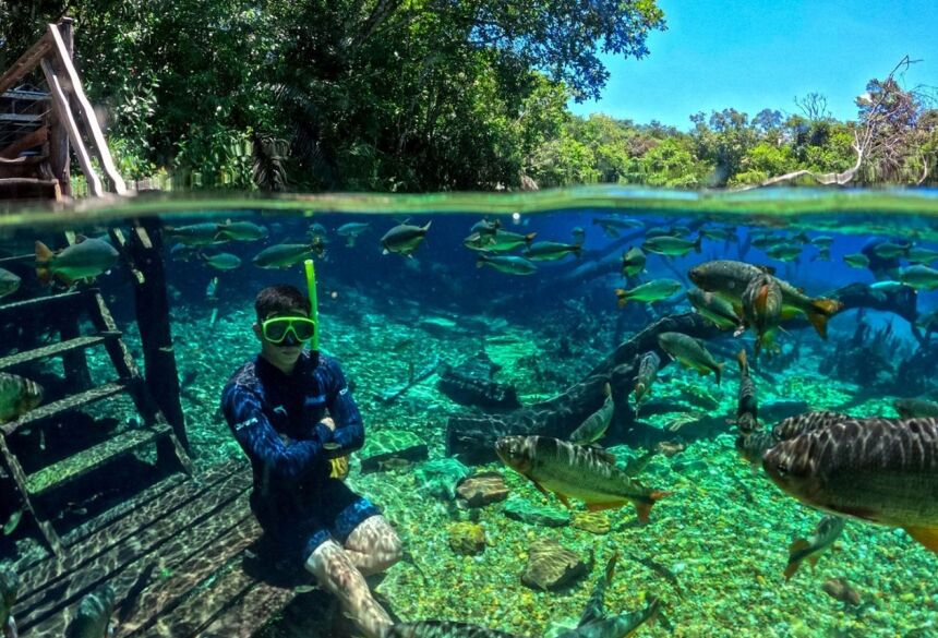 Créditos Recanto Ecológico Rio da Prata.