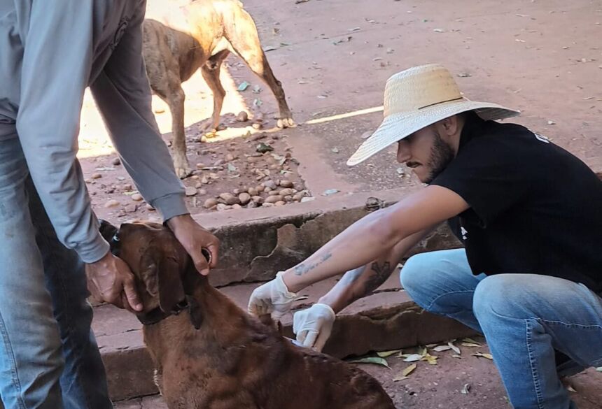 FOTOS: ASSESSORIA