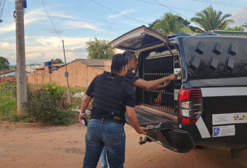 Autor já dentro da viatura da DAM na tarde de ontem; Foto: Divulgação/PC