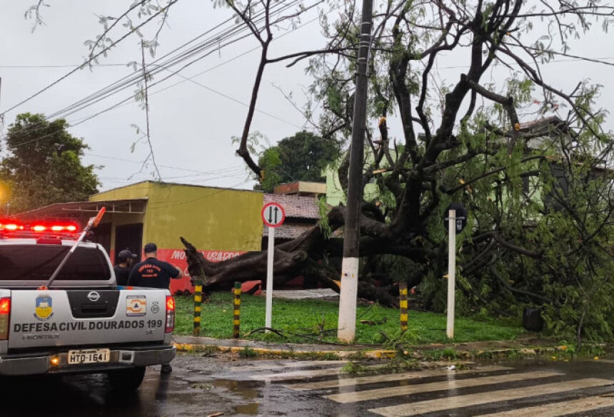 Foto: Sidnei Bronka / Ligado na Notícia