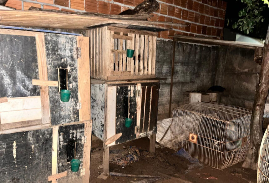 Animais foram resgatados do local onde funcionava a prática criminosa; Foto: Divulgação/PC