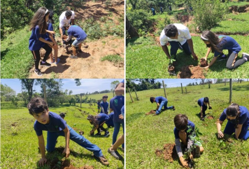 FOTOS: WENDELL SOUZA / ASSESSORIA