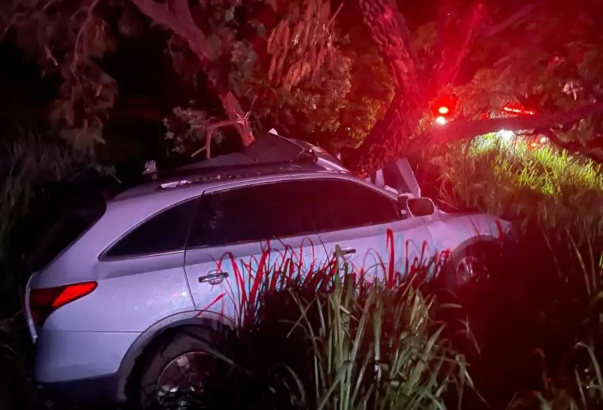 Carro que era conduzido pelo douradense e colidiu contra duas árvores; Foto: Jornal da Nova