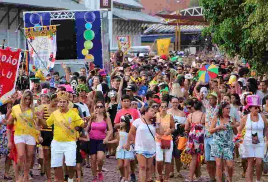 Carnaval de rua em Campo Grande. (Foto: Divulgação / Mídia Max)