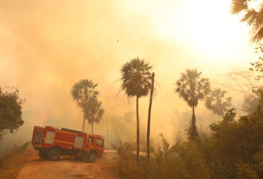 FOGO NO PANTANAL - Foto de capa: Álvaro Rezende/Secom/Arquivo
