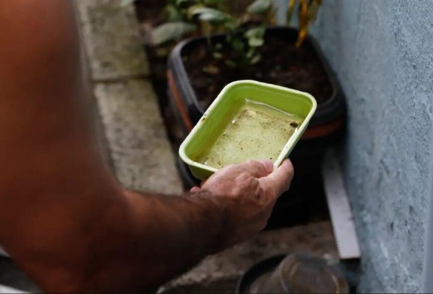 DENGUE - Fotos: Arquivo/SES