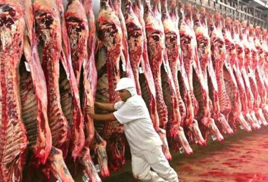 Setor de carnes é destaque da região. (Foto: Divulgação, Semadesc)