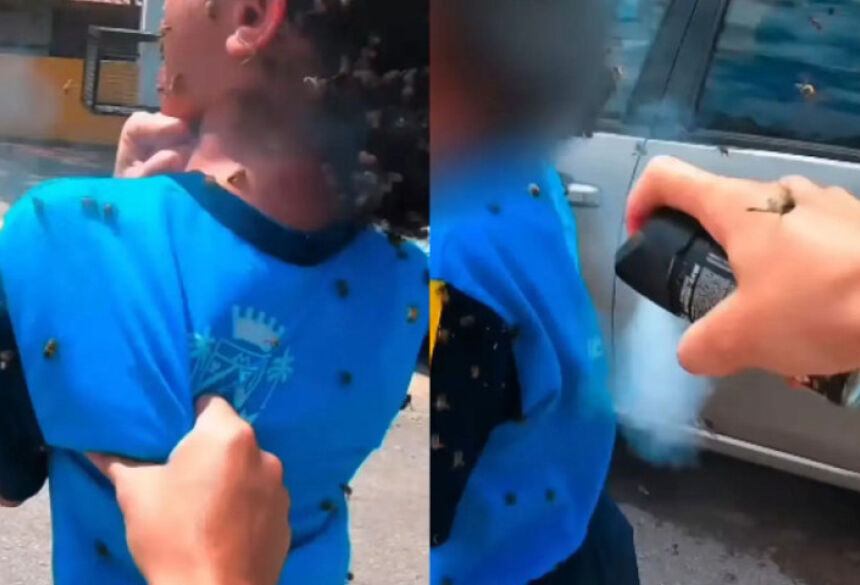 crianca e atacada por abelhas e motociclista leva mais de 40 picadas ao tentar salva la 17896461535474 thumb