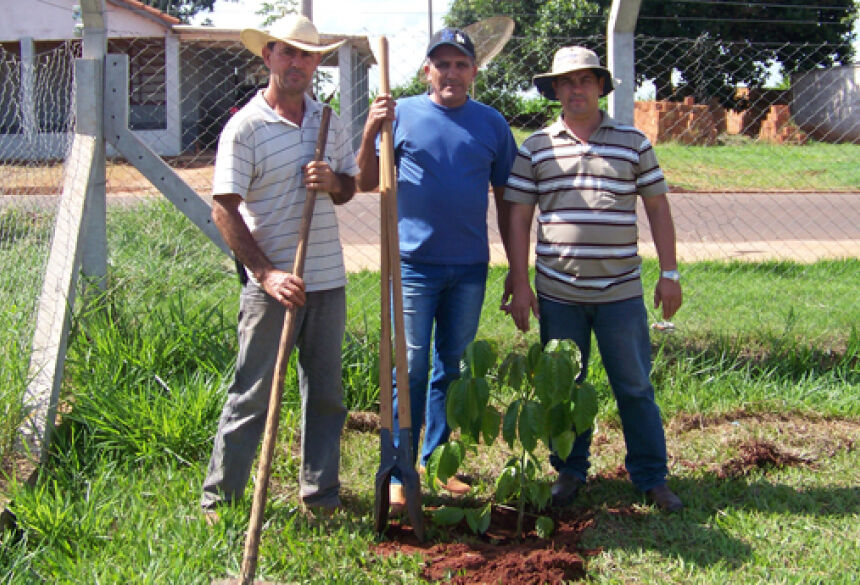 Secretário e equipe durante a arborização. Foto Divulgação
