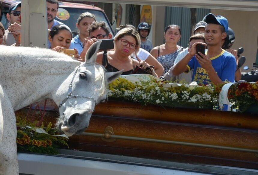 Levado para enterro pelo irmão do vaqueiro, cavalo Sereno relinchava, batia as patas e deitou a cabeça sobre o caixão do dono, na Paraíba (Foto: Kyioshi Abreu/ Arquivo Pessoal)