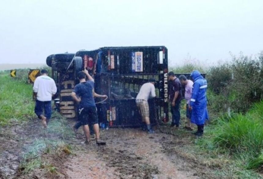 Pessoas ajudaram a resgatar os animais de dentro do caminhão. (Foto: Ivinotícias)