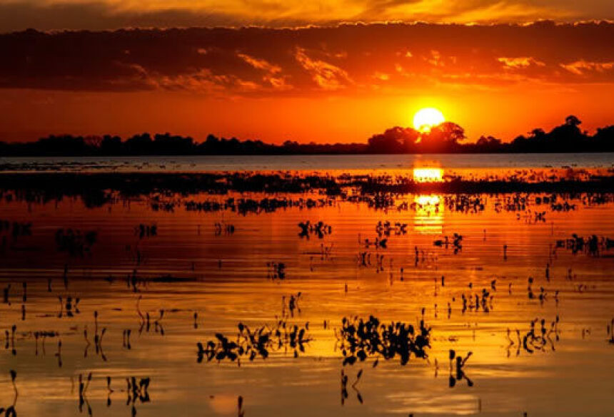 FOTO: AGÊNCIA SUCURI - Bonito (MS) e Pantanal, grandes experiências em uma só viagem