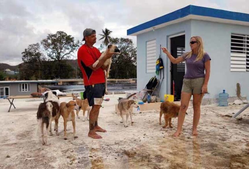 Sandra Harasimowicz conversa com seu marido, enquanto ele carrega um de seus cachorros no telhado da casa de um vizinho, depois que Porto Rico foi atingido pelo furacão Maria 25/09/2017 REUTERS/Carlos Garcia Rawlins Foto: Reuters