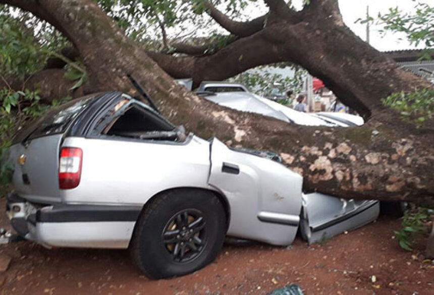 Blazer ficou destruída após queda de árvore (Foto: Divulgação/WhatsApp)